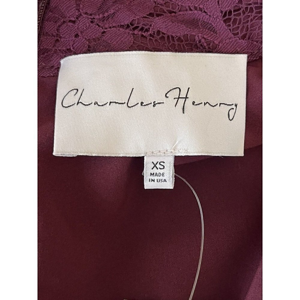 Charles Henry Burgundy Mock Neck Lace Dress XS Sleeveless Lined - Picture 10 of 11